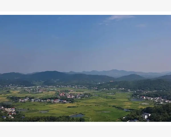 冰糖雪梨：解析清肺热的功效与作用