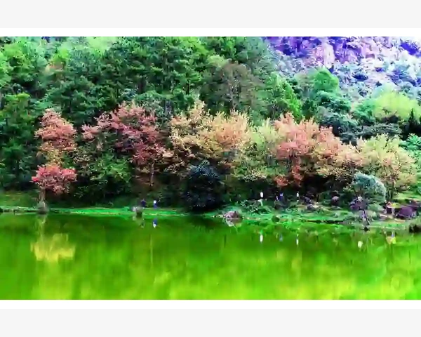中医治疗失眠的有效性探讨