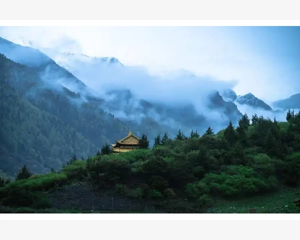 冰糖雪梨：舒缓咳嗽、化痰神奇之物